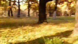 Достопримечательности Луганщины.