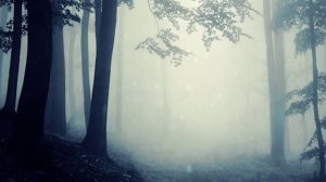 Было это давно| Мистические истории| Истории из жизни!