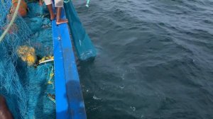 Kanyakumari Christy Boat Fishing      #trevally #kanyakumari #fishing #boating #life #sailing #work