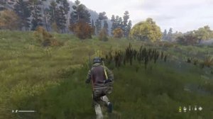 Dayz учимся выживать на PS4