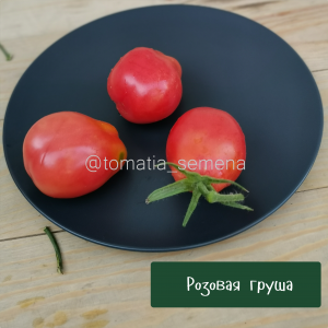 Розовая груша