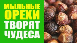 Шампунь и Мыло Своими Руками. Мыльные Орехи. Рецепт