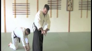 Aikido Rolling-Toyoda Center, Grand Rapids