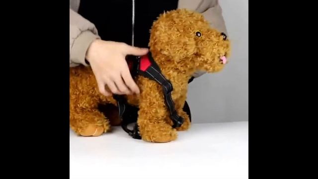 Шлейка для собак. Товары для животных с Алиэкспресс