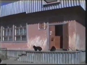 Билибино любительская съемка часть1.mp4