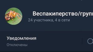 Веспакиперство или как содержать ос в домашних условиях. #МуравьиЯрославль