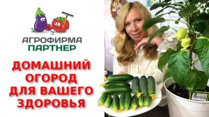 Выращивайте овощи на окне зимой и будьте здоровы!