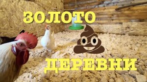 #38. Деревенское "золото". Готовим в казане. [Жизнь на своей земле]