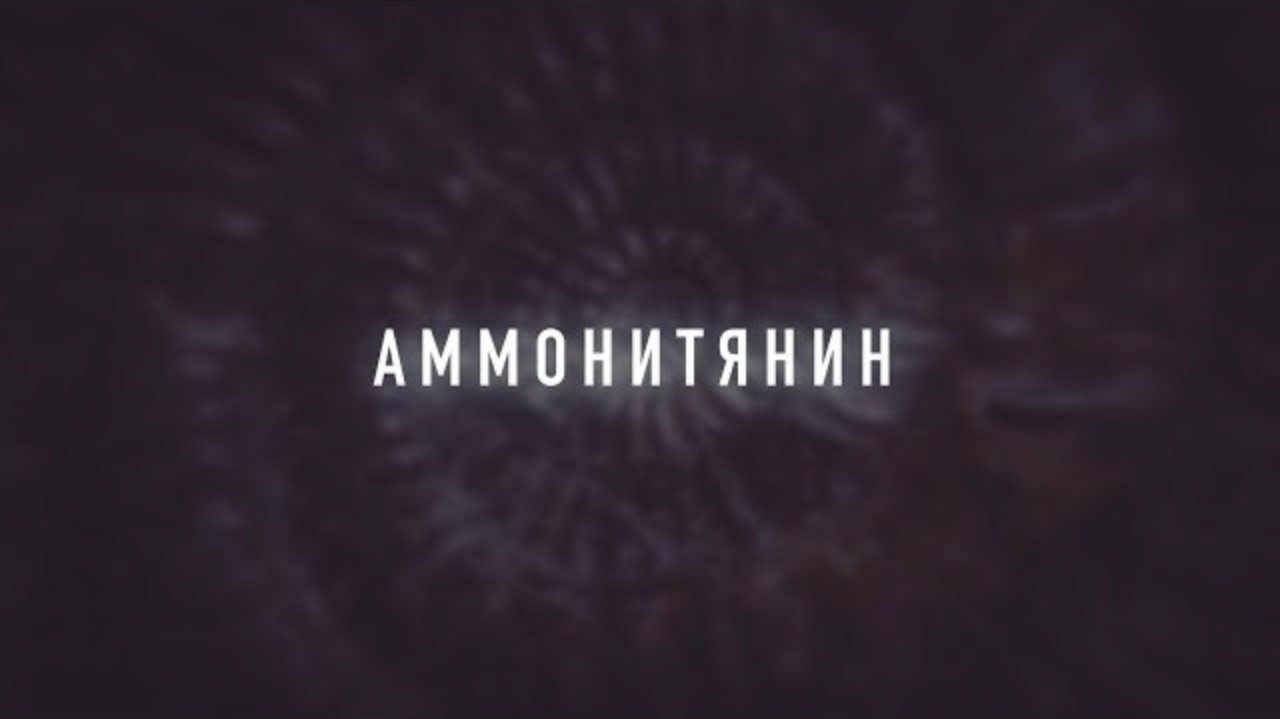 АММОНИТЯНИН