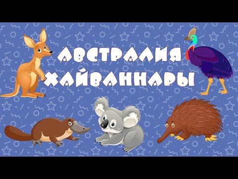 БӘБИ СҮЗ: Австралия хайваннары / Животные Австралии / Animals of Australia