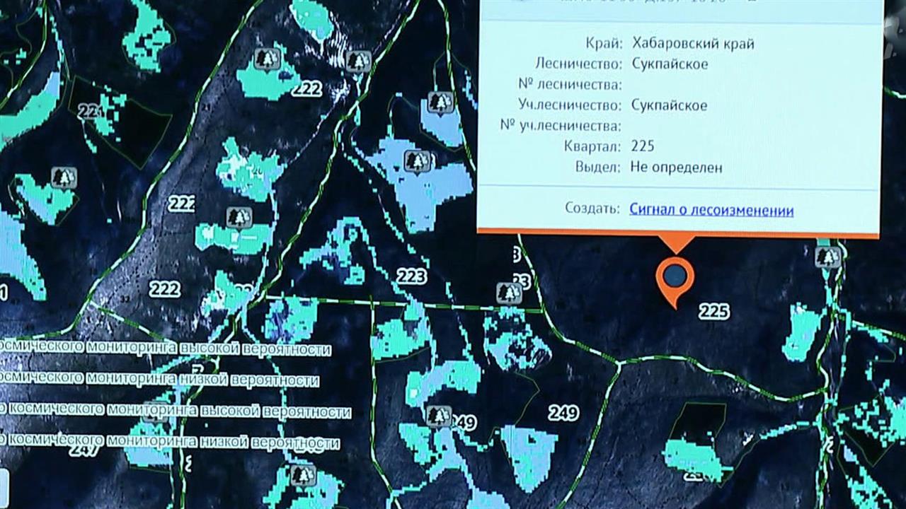 Дальневосточные программисты разработали компьютер...тему спутникового мониторинга лесного хозяйства