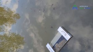 Плавающий скиммер Grech 16000 в работе / Azbukasada.ru