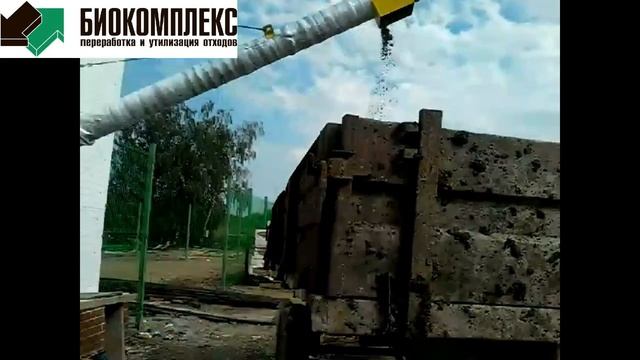 Шнековый транспортер в работе. Июль 17