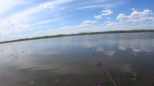 Мормышинг.  Карась на спиннинг.  Какая приманка лучше 2