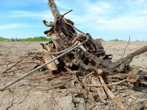 Как Заработать 8000 за 4 часа?