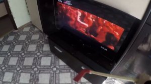 Защитное стекло для телевизора. TVsafety