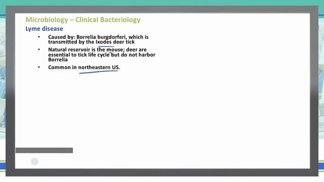 Gram Negative Bacteria | Microbiology | USMLE STEP 1 | Pt 11 смотреть онлайн