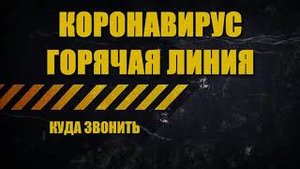 Официальный сайт стоп коронавирус.  Телефон горячей линии по коронавирусу