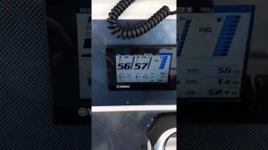 Marlago yamaha F 300's