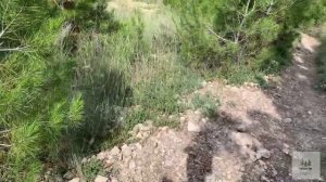 В Крым с палаткой (добрался, мыс Айя, первая ночь) 2ч.