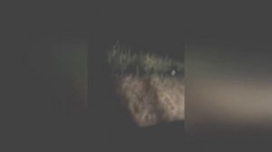 10 МИСТИЧЕСКИХ СУЩЕСТВ В ЛЕСУ СНЯТЫХ НА КАМЕРУ