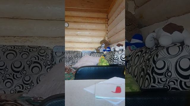 Найди кота! 🐱🐱🐱🐱 смотреть онлайн