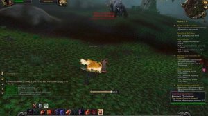 Оно может быть где угодно квест wow 3.3.5