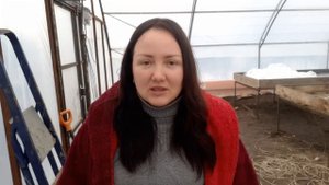 Газовое отопление в теплице