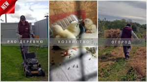 Деревенские будни: Огород без перекопки  Пасха Вывод цыплят #garden #деревня #огород