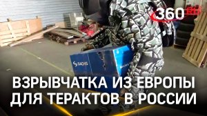Взрывчатку из Европы для терактов в России перехватили в Питере