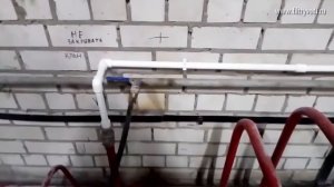 Фильтры для очистки воды из колодца на дачу. Какой лучше выбрать и купить? Цена? Фильтр воды колодц