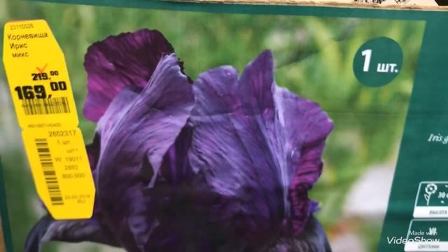 РАСПРОДАЖА Посадочного материала и саженцев в ОБИ. смотреть онлайн