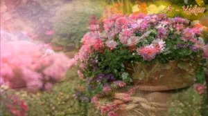 ?Примеры цветочных композиций Клумбы Вазоны Контейнеры / Ideas for a garden plot / A - Video