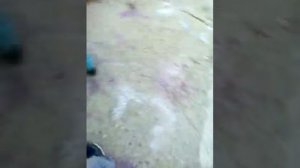 Сумасшедший старик