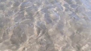 Поселок Славянка, 16.09.21, бухта Баклан.✌