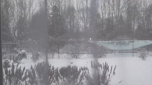 Создаю себе предНовогоднее настроение!?❄?Что я сшила????#влогдомохозяйки #шьюсама#handmadechristmas