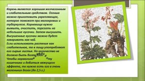 Такой он ревень.