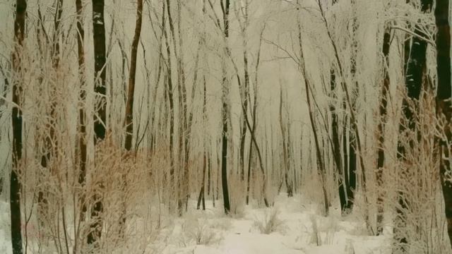 Не вскрывать! Матери привезли с вахты цинковый гроб. Она заставила его открыть, все побледнели... смотреть онлайн