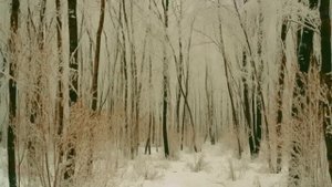 Не вскрывать! Матери привезли с вахты цинковый гроб. Она заставила его открыть, все побледнели...