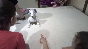 робот-собака