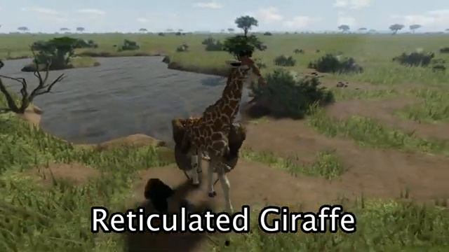 Roblox Wild Savanna - All playable animals 2022 - ANIMAL SHOWCASE! смотреть онлайн