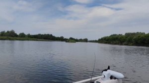 150км по Тульской Оке на лодке с женой и ребенком! Обкатали мотор на #bester 390 M Fish