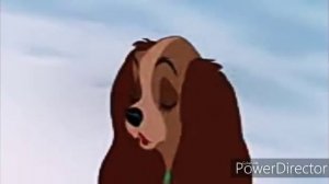 Леди и Бродяга This Land is Mine заказ