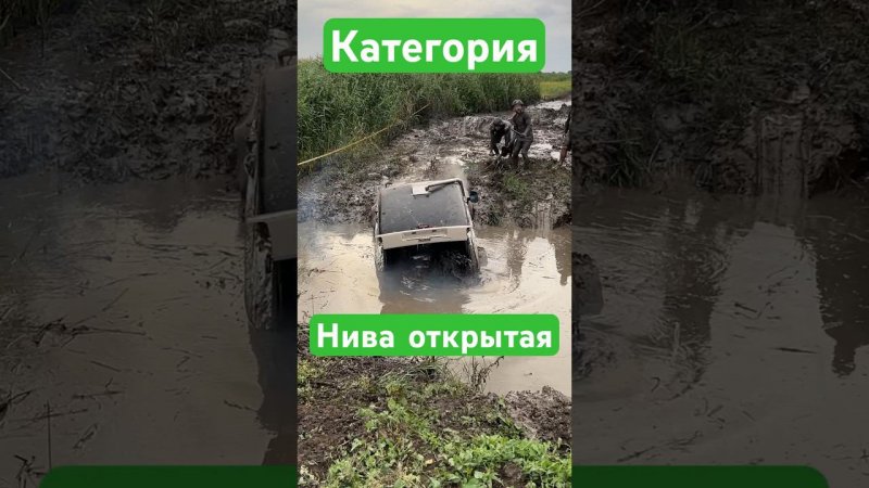 Нива Гризли в западне #shorts #short #shortvideo #automobile #offroad #rally #race