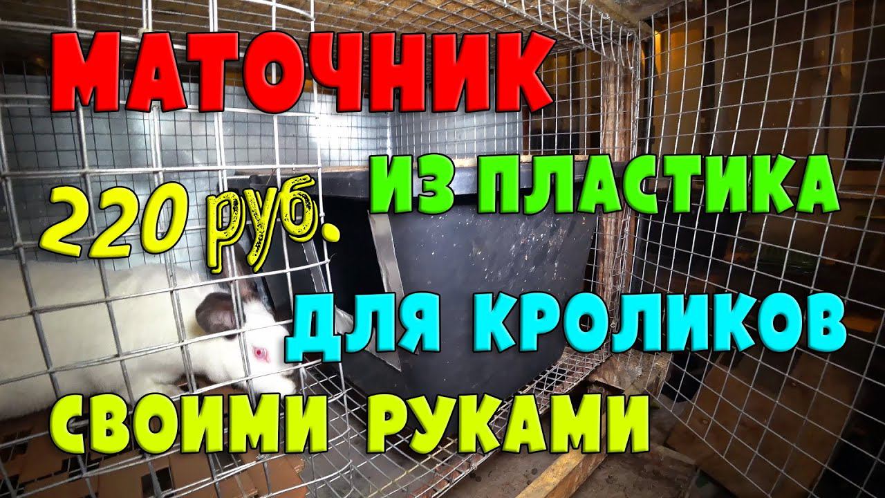 Самодельный кроличий маточник из пластика за 200 рублей и 15 минут