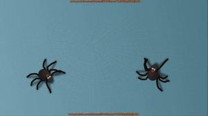 Игра для кошек котов и котят На экране  бегает паук