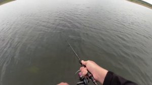 Спиннинги CADENCE Vigor 722S-MLF и Vigor 762S-MLF. Обзор Константина Андропова