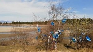 Путешествие в Аршан. Бурятия