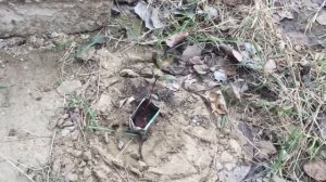 13 Часть по выращиванию фисташкового дерева