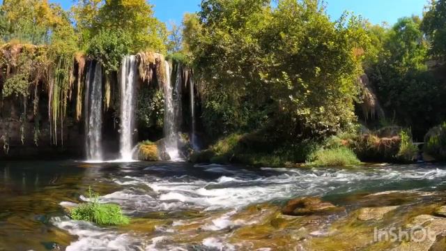Интеллект Золотого Тельца смотреть онлайн